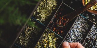 Bridging the Gap Between Conventional and Natural Wellness