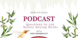 Questions to Ask Before Buying Herbs, with Ann Armbrecht