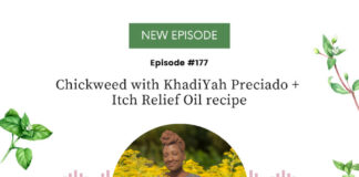 Chickweed with KhadiYah Preciado