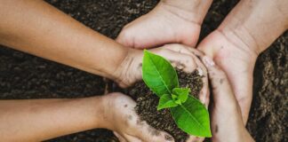 How Climate Change Effects Mental Health