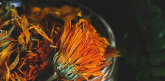 Furthering Our Commitment to Sustainability and Transparency: Regenerative Organics