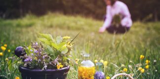 Herbal Accessibility: The Deaf & Hard of Hearing Community