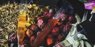 The Basics of Herbal Preparations: A Beginner's Guide