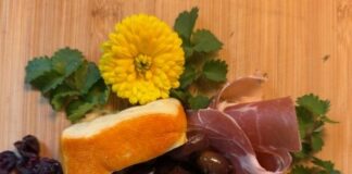 Salad Burnet – April’s Herb of the Month – The Herb Society of America Blog