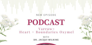 Yarrow with Dr. Jacqui Wilkins