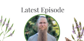 Blue Vervain with Thomas Easley