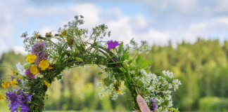 Welcoming the Summer Solstice – The Herb Society of America Blog