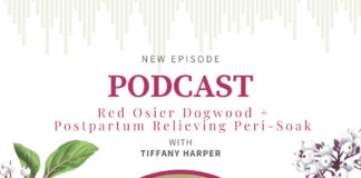 Red Osier Dogwood with Tiffany Harper