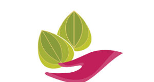 Sassafras with Matthew Hunter